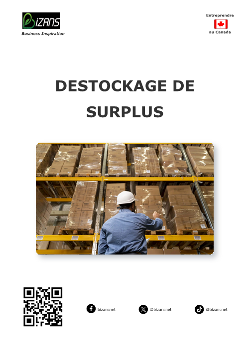 Déstockage de surplus