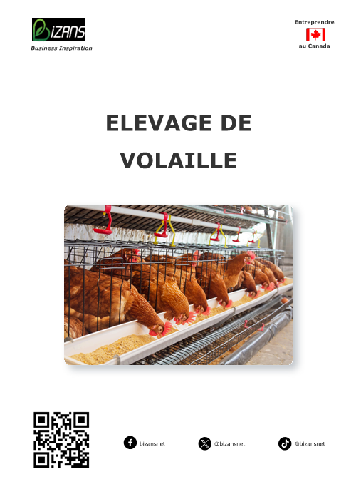 Elevage de volaille