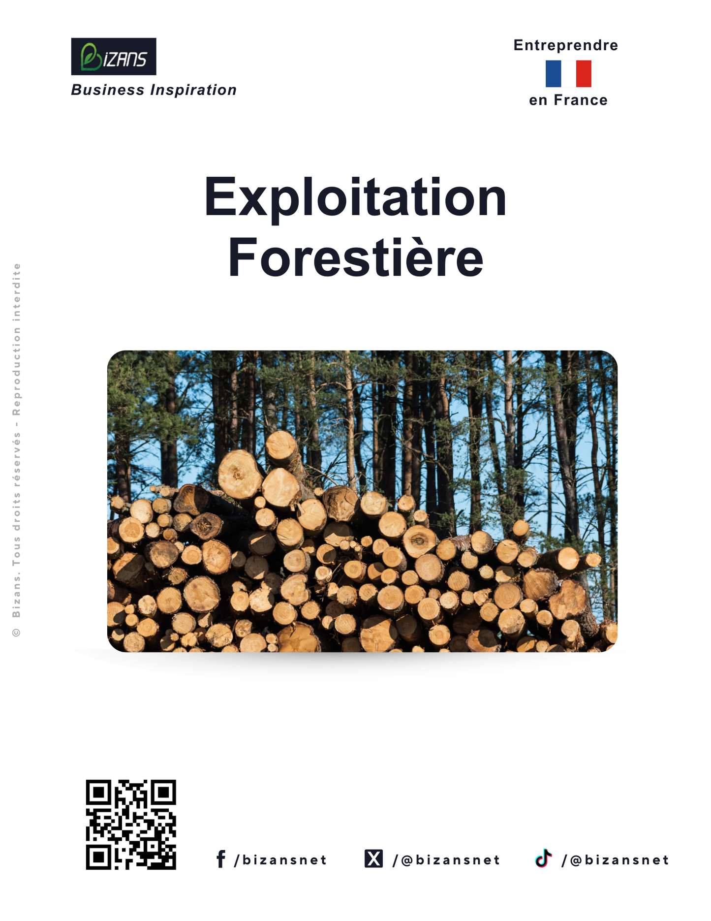 Exploitation Forestière