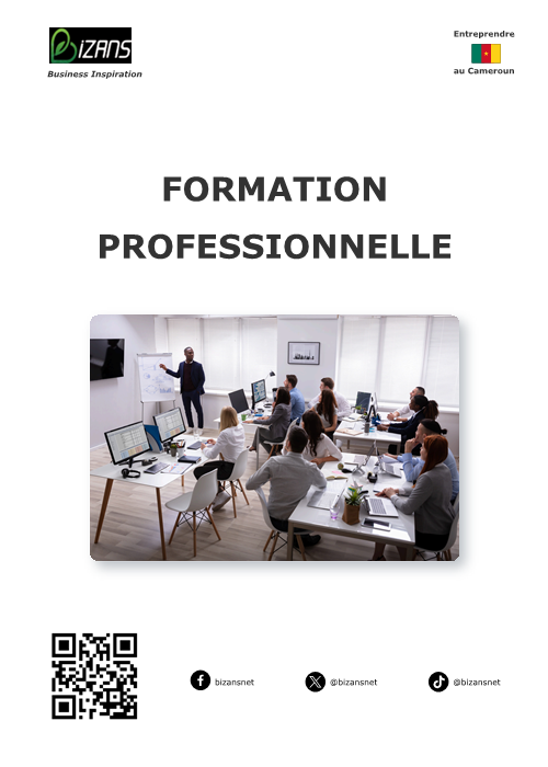 Formation professionnelle