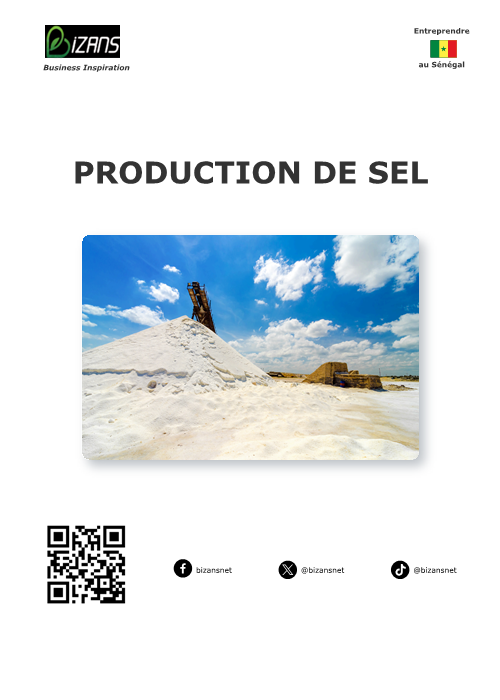 Production de sel