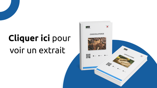 Extrait de Business Plan : Chocolaterie au Maroc