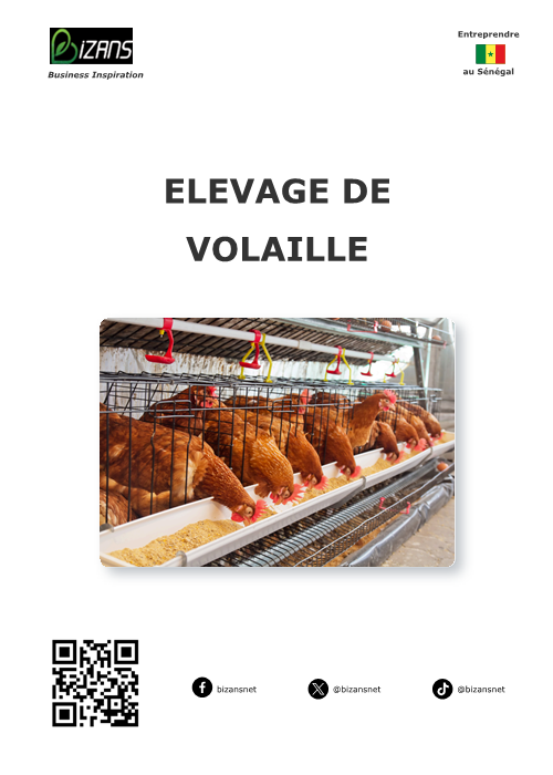 Elevage de volaille