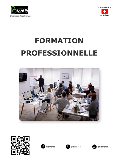 Formation Professionnelle